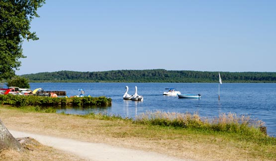 Camping Léon Landes