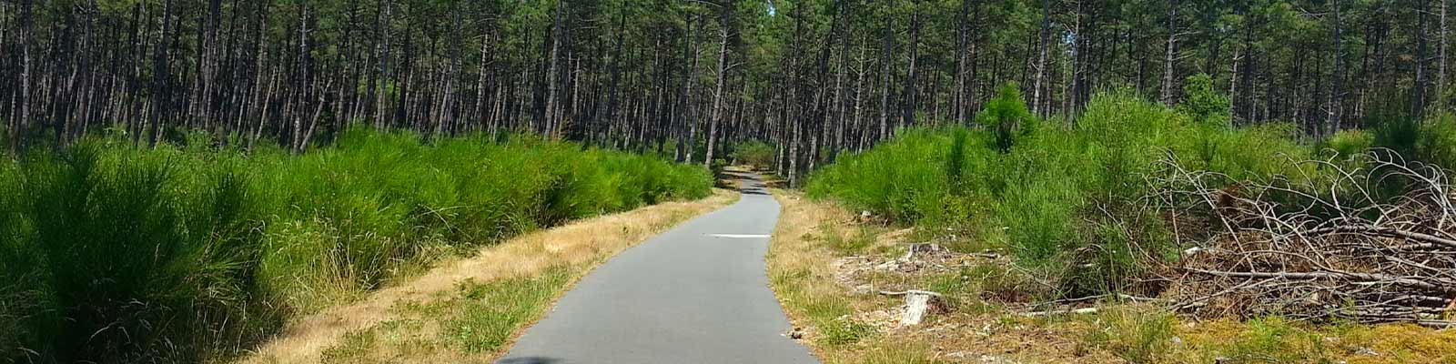 LA VÉLODYSSÉE ET LES PISTES CYCLABLES DANS LES LANDES