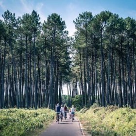 vélo foret landes camping