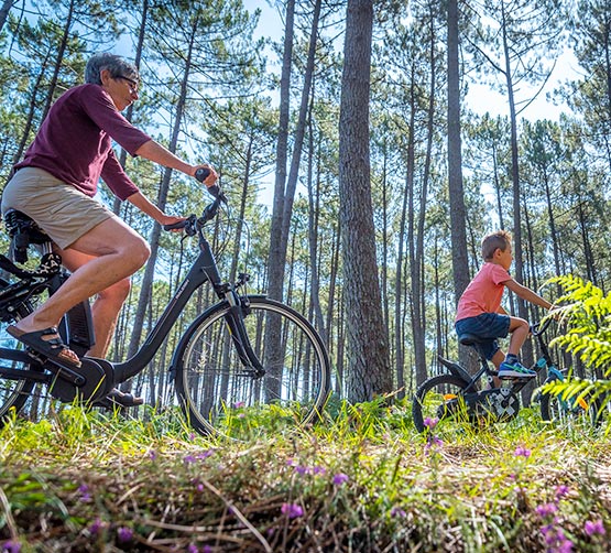 Camping dans les Landes