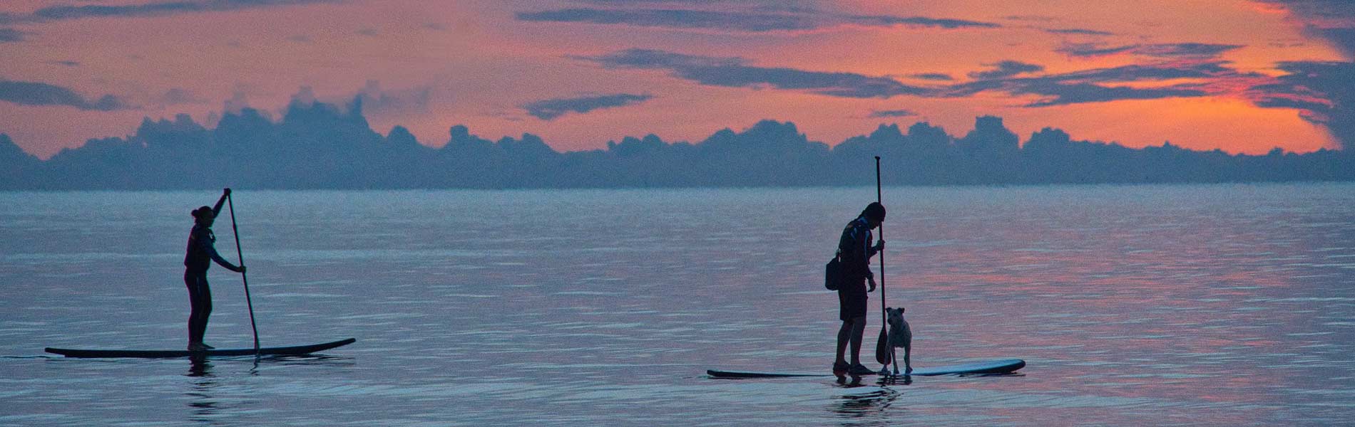 Paddle sur le lac de Biscarrosse