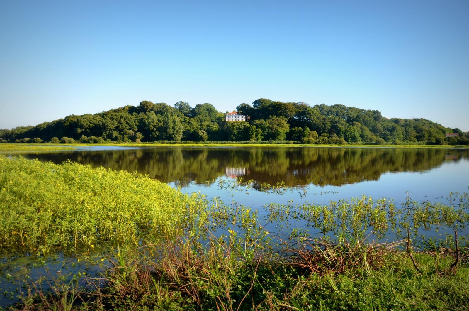 Le marais d'orx dans les Landes