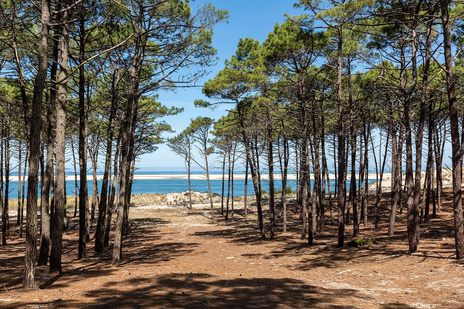 Un week-end dans les Landes