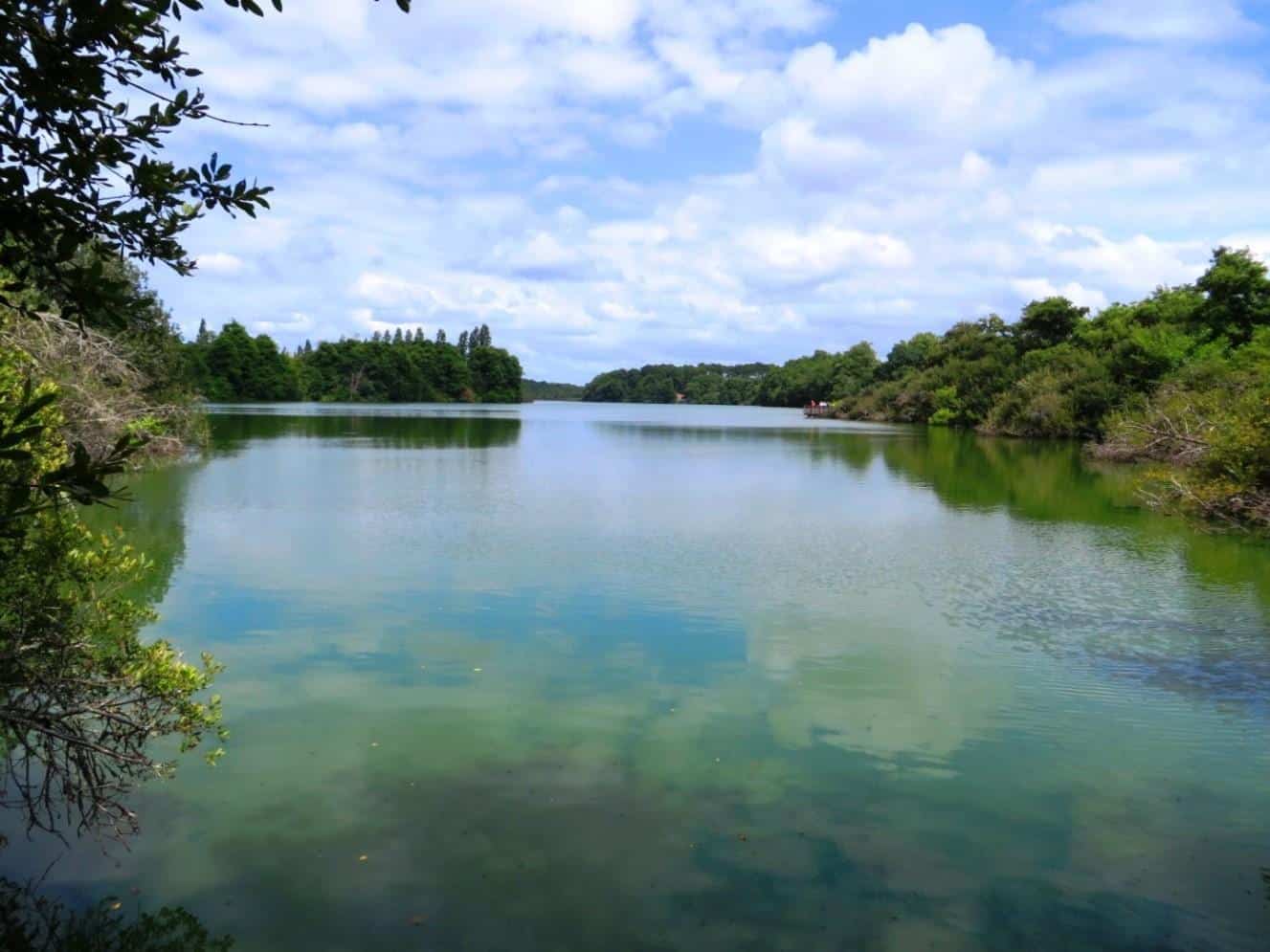 réserve naturelle étang noir seignosse