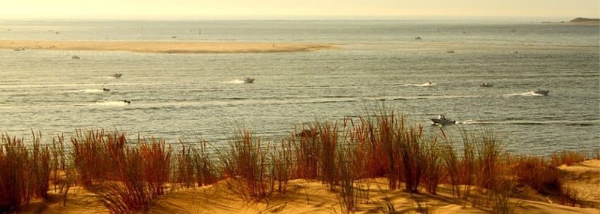 activités à faire à la dune du pilat