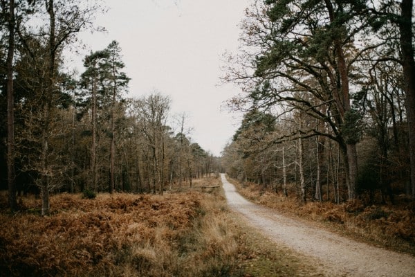 Les activités à faire quand il pleut dans les Landes