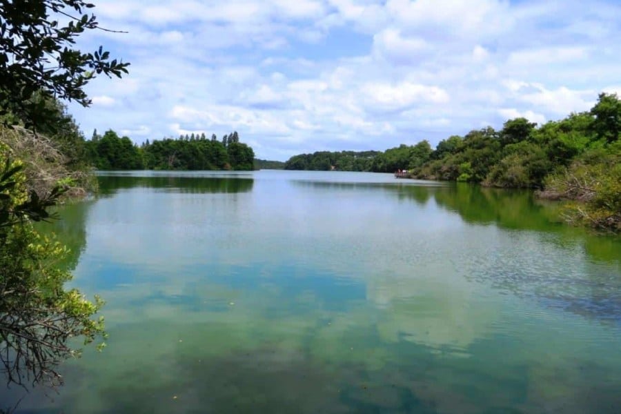 réserve naturelle jaougotte