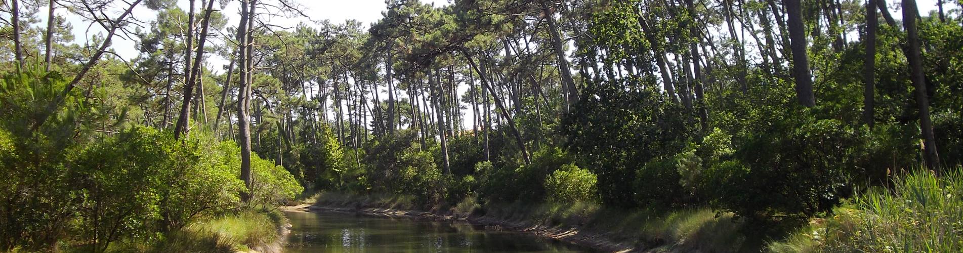 parc régional landes gascogne