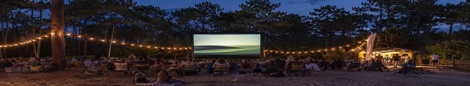 Spectateurs installés sous les pins des Landes devant un écran de cinéma en plein air, guirlandes lumineuses allumées